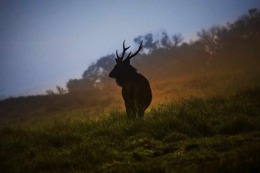 Photograph by Yazir Zubair