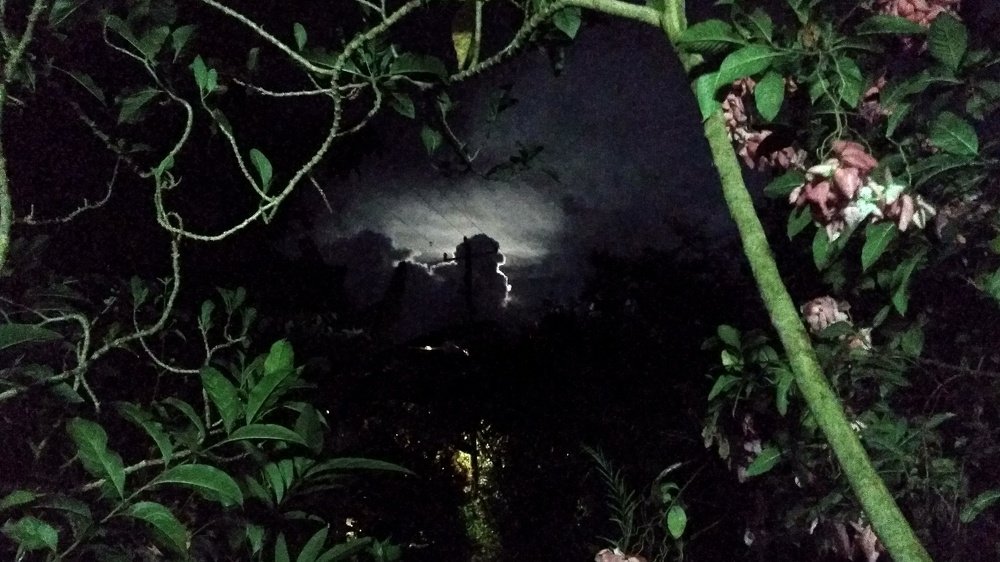 Photograph by Joel Guadron