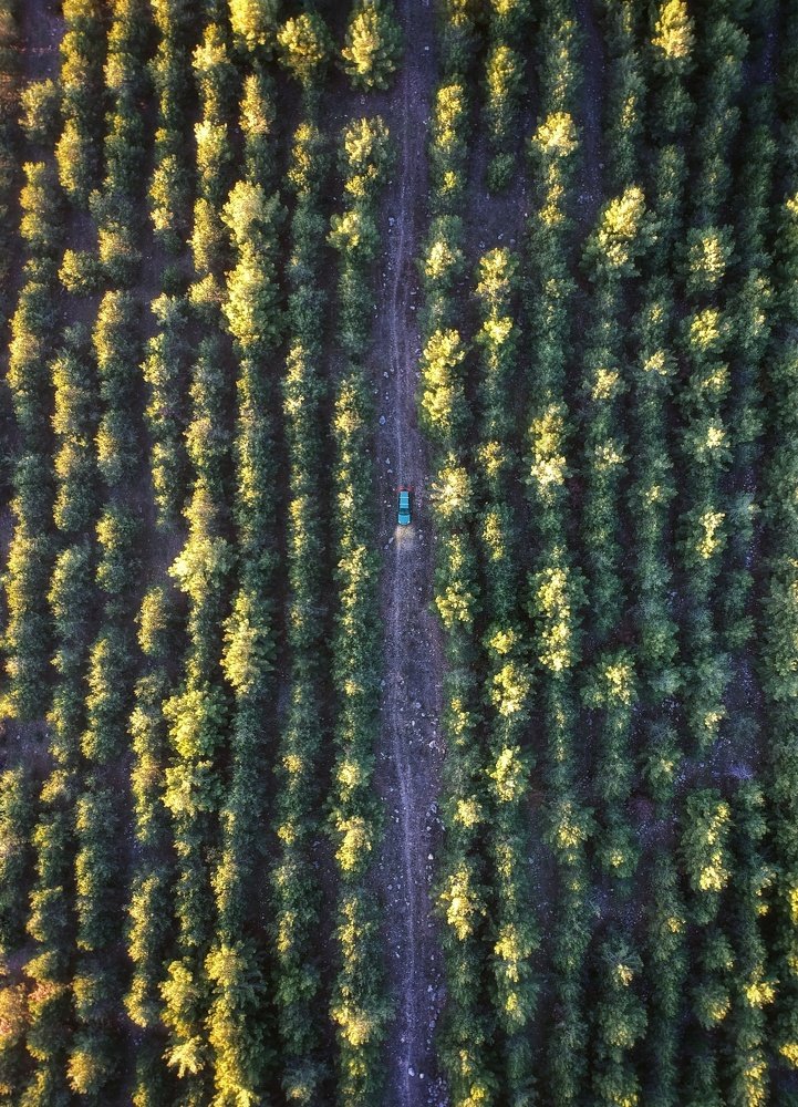 Photograph by Сергей Теряник