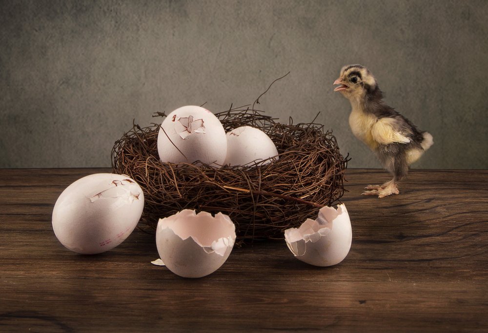 Photograph by bader ali