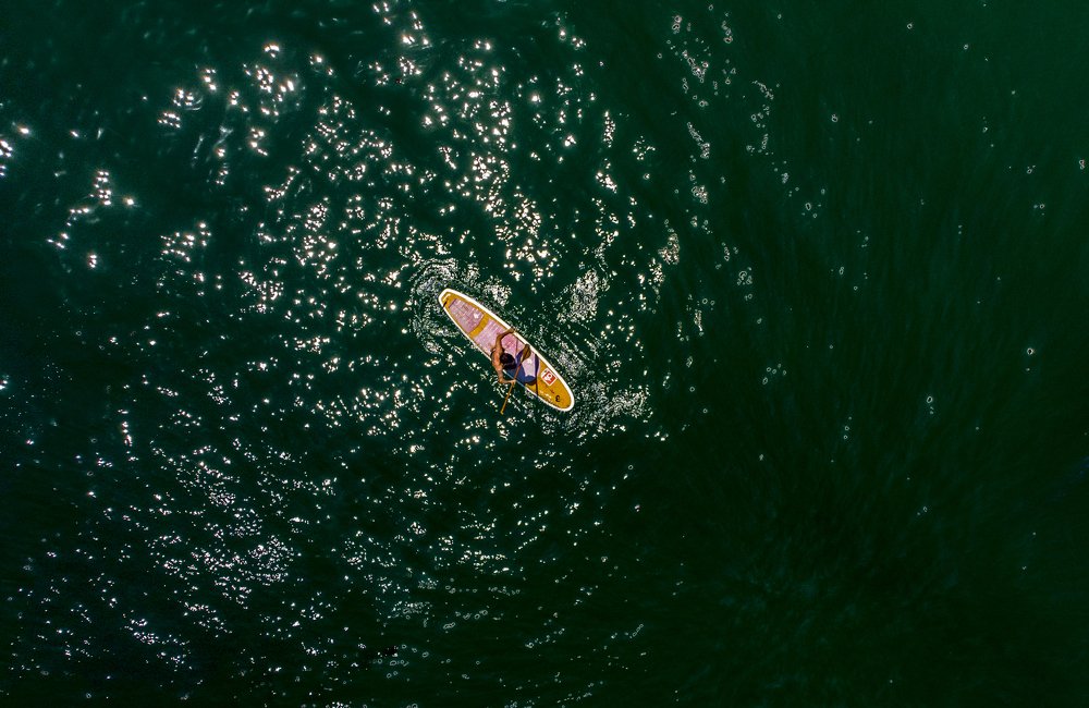 Фотография автора david xavier de carvalho