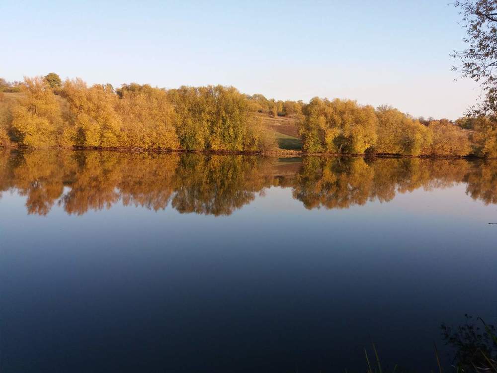 Photograph by ЛЮДМИЛА Ружило