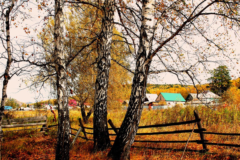 Photograph by Ирина Попел