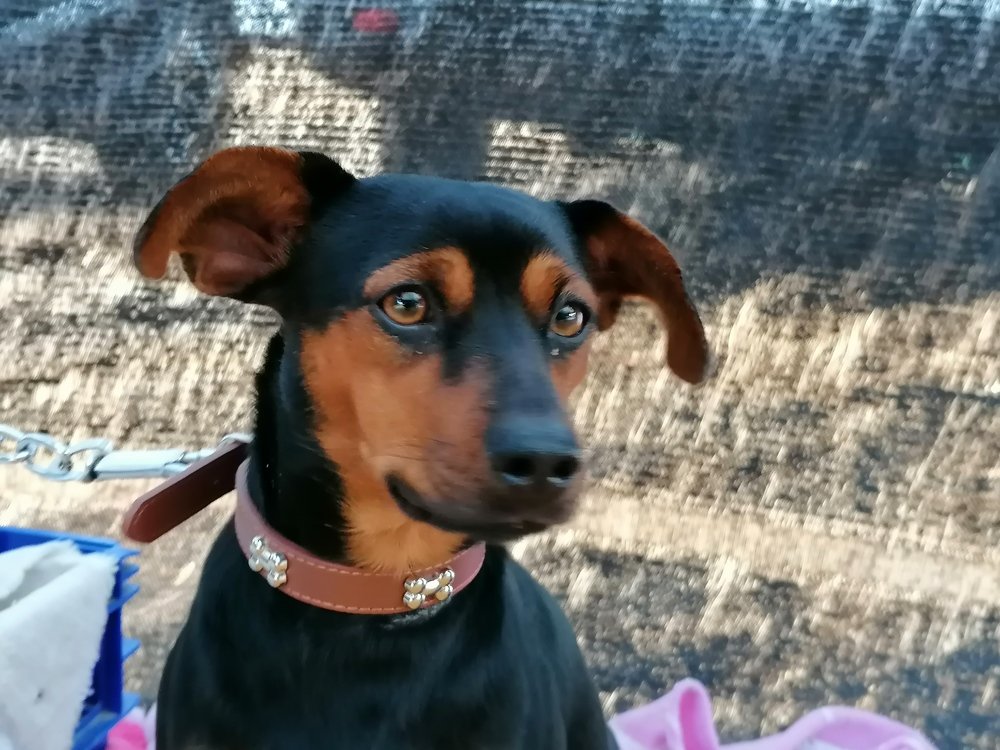 Photograph by tanase nicolae