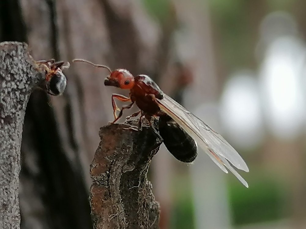Photograph by tanase nicolae