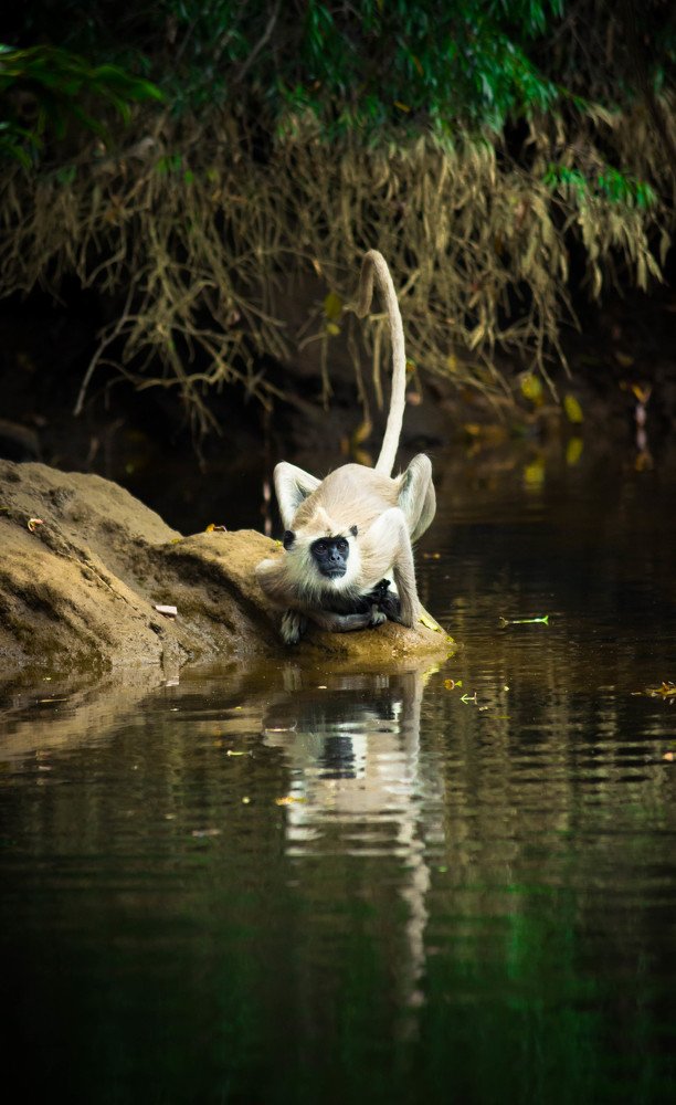 Photograph by  harish