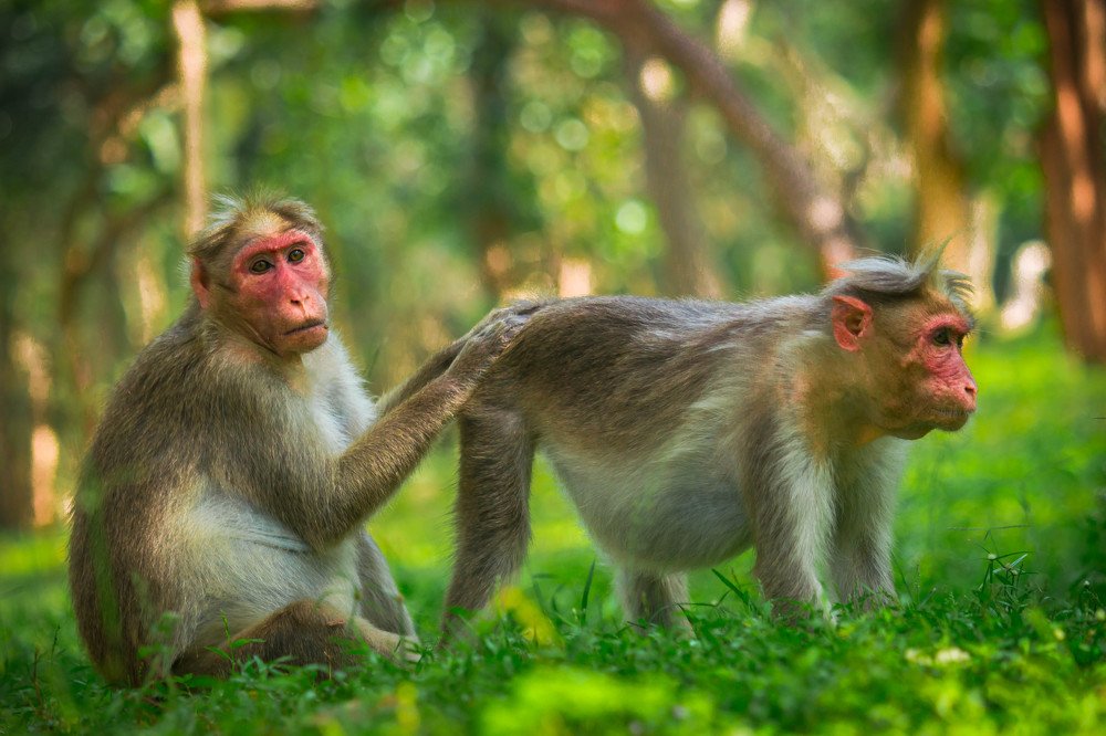 Photograph by  harish