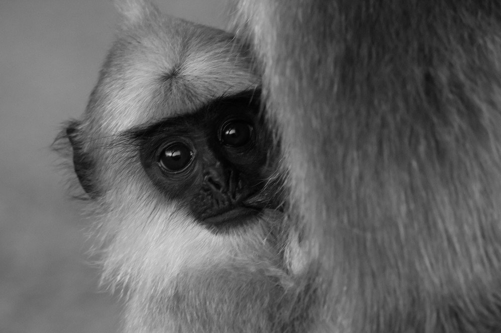 Photograph by  harish