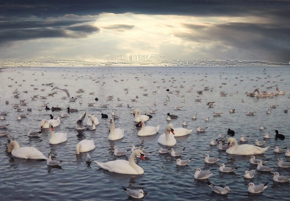 Photograph by Сергей Кошелев