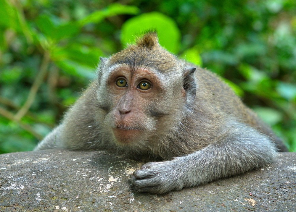 Photograph by Aung Kyaw Soe