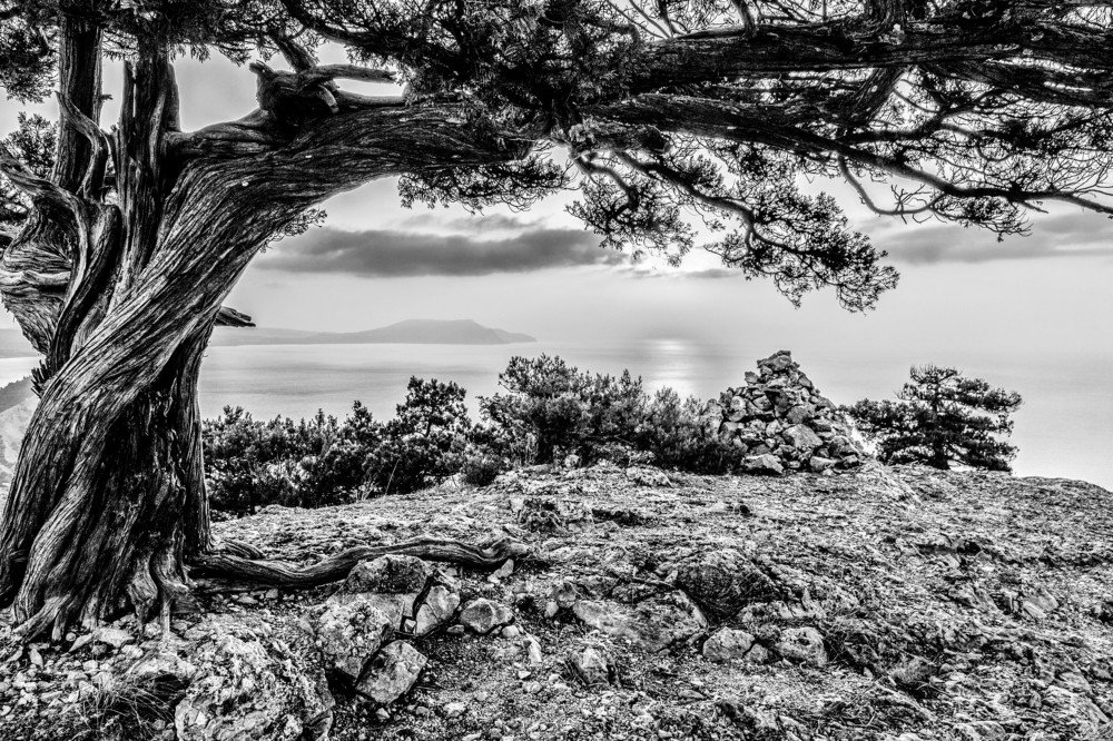 Photograph by Александра Шайдурова