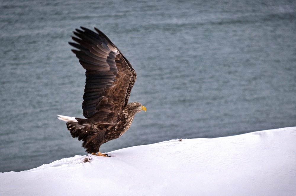 Фотография автора Денис Винарь