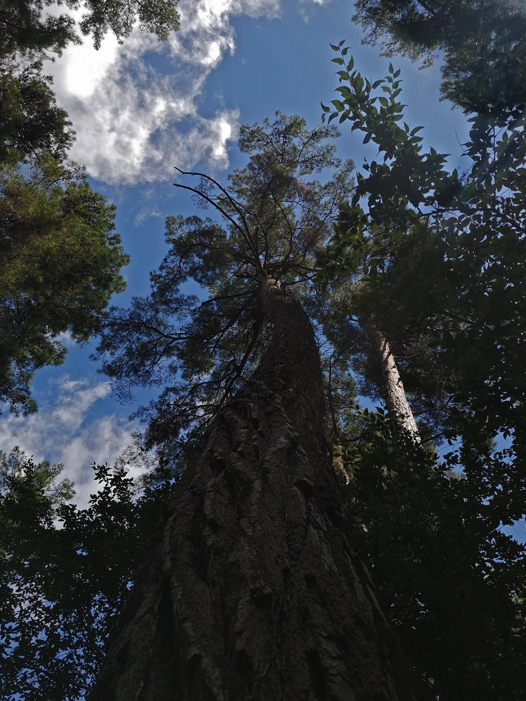 Photograph by Аглая Менделева