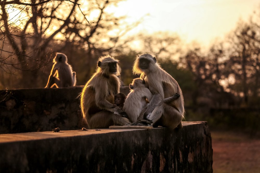 Photograph by sohrab kaveh