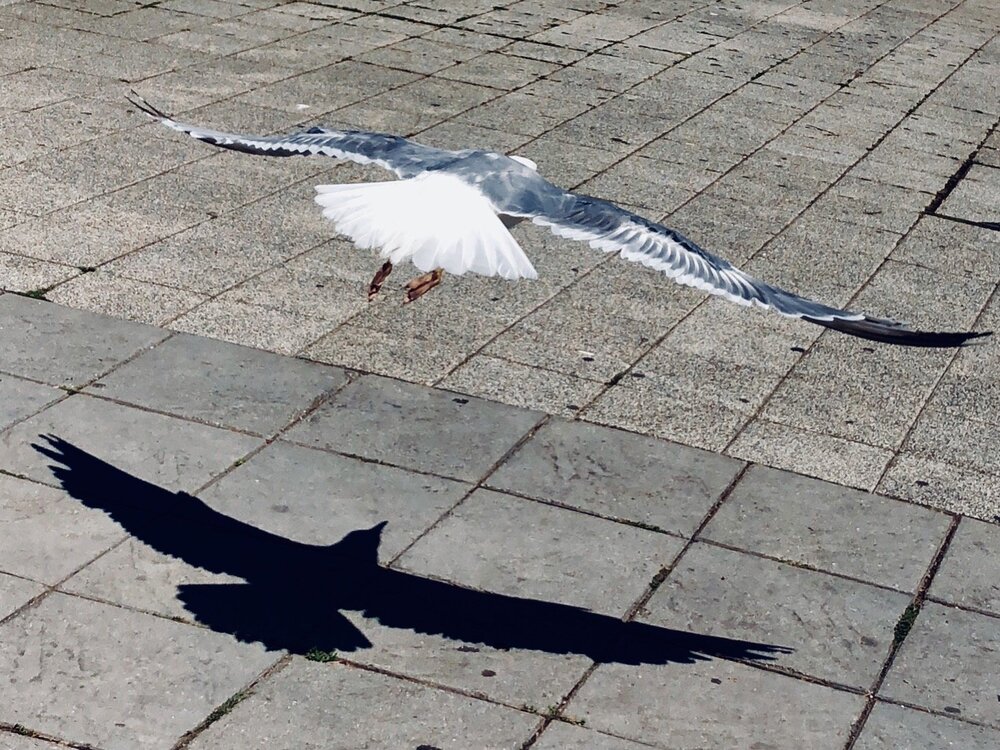 Photograph by Ольга Харлан