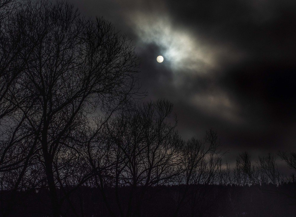 Photograph by mikhail goryachev