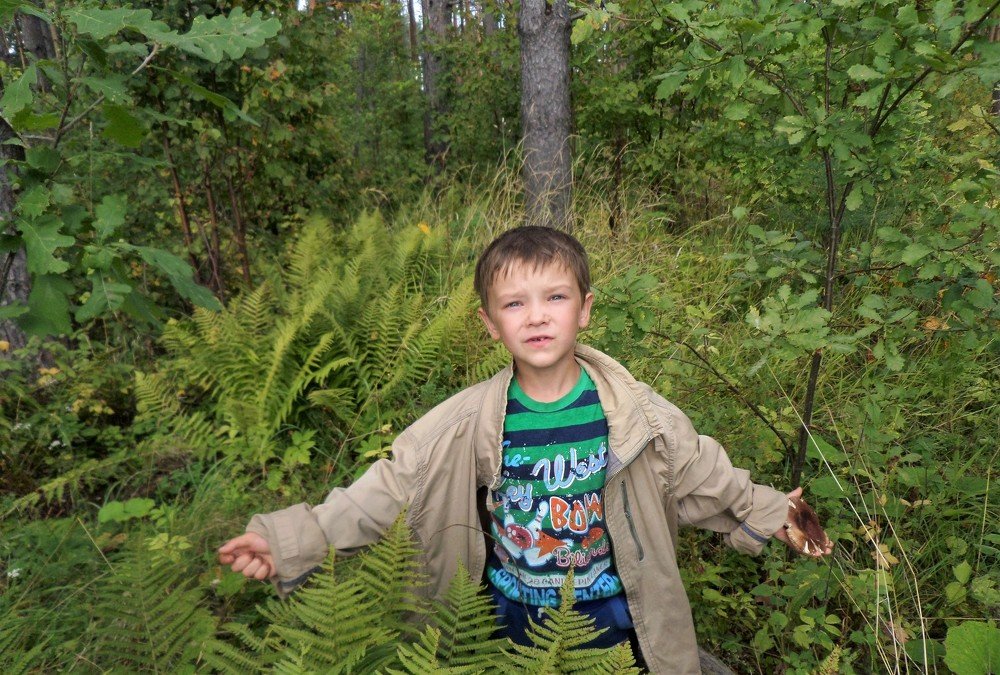 Photograph by Ревмир Фатыхов