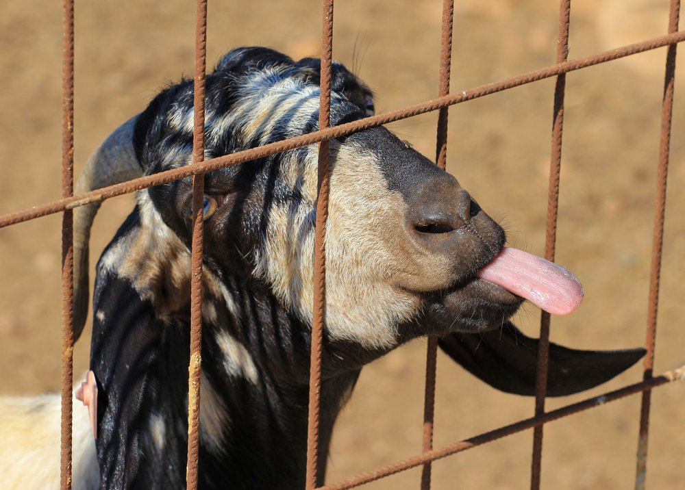 Photograph by Мария Никитина