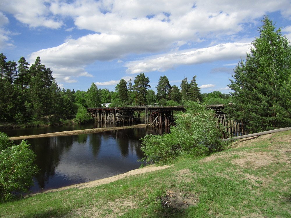 Photo #4020970
