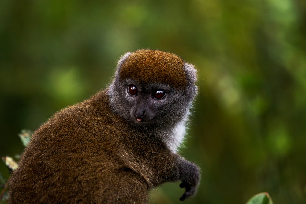 Photograph by sohrab kaveh