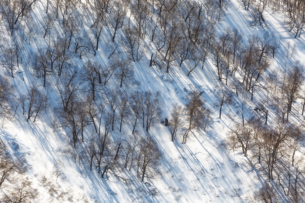 Photograph by Александр Максин