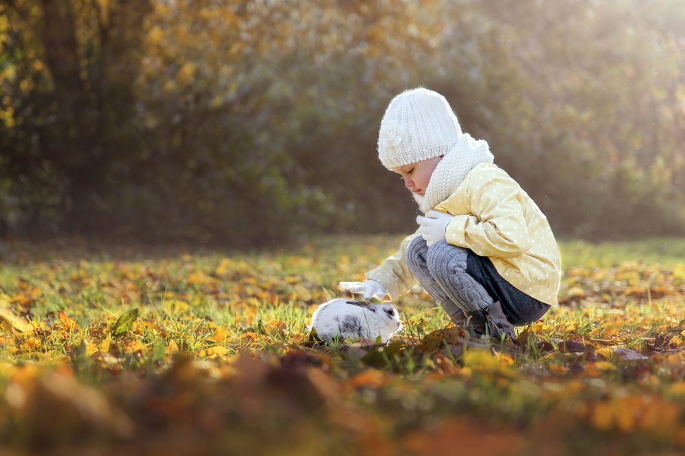 Photograph by Наталья Гасилова