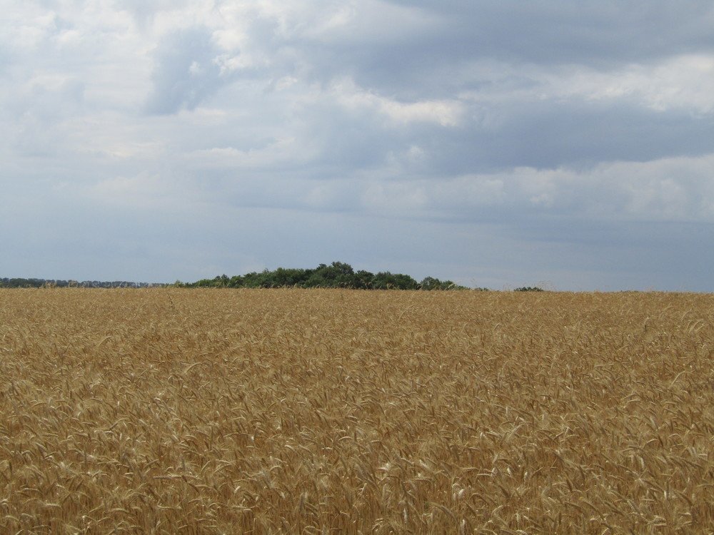 Photograph by Анна Мостовая