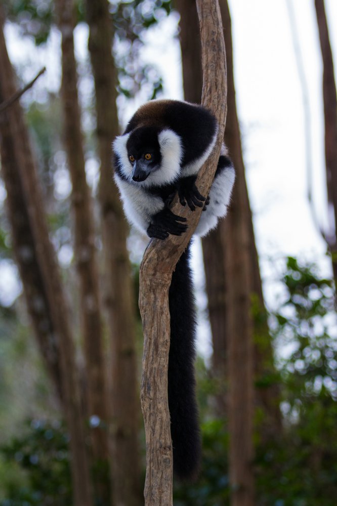 Photograph by sohrab kaveh