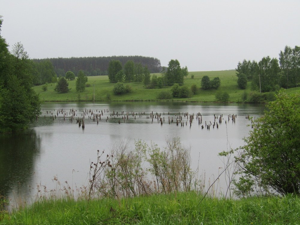 Photo #4021096