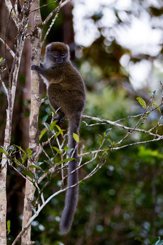 Photograph by sohrab kaveh