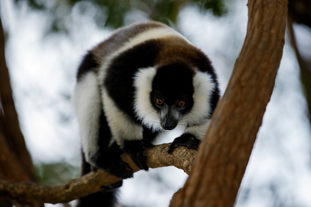 Photograph by sohrab kaveh