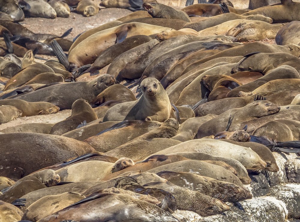 Photograph by Lugyanti Sukrisman