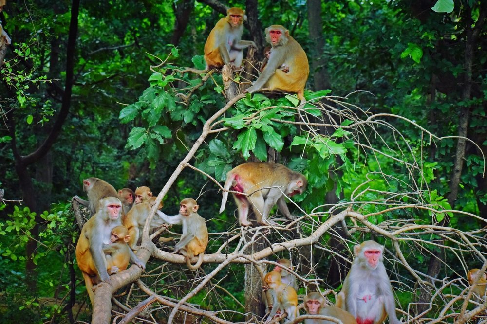 Photograph by Shiva Killamsetty