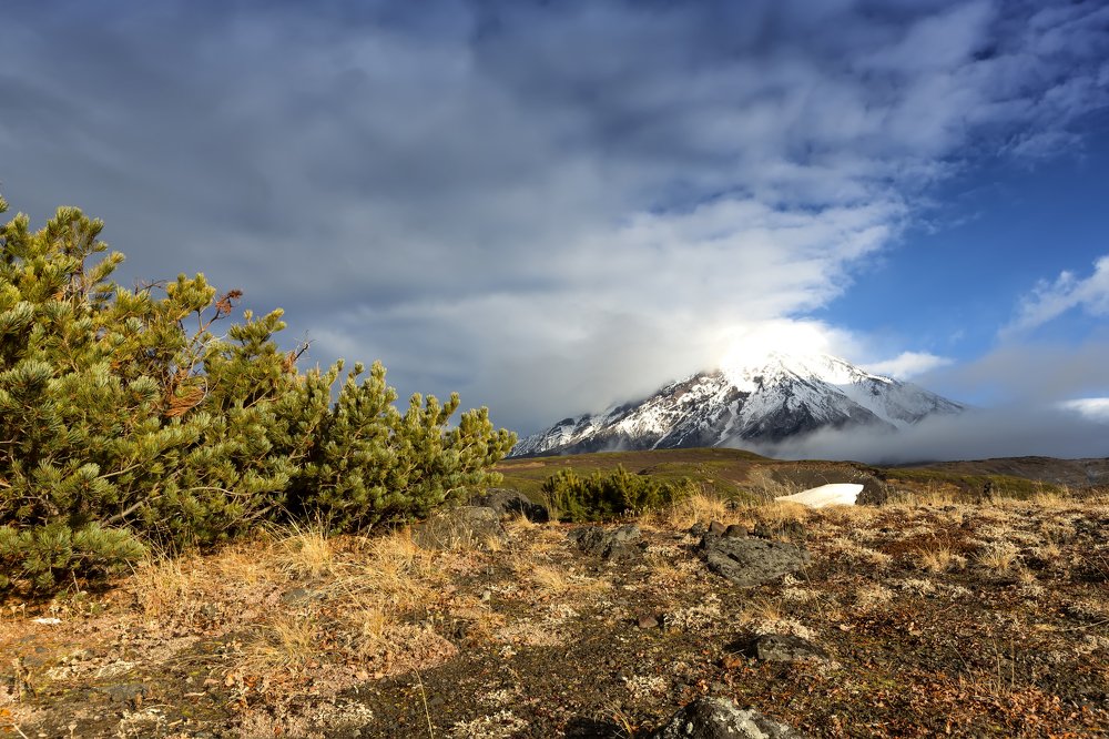 Утро в горах... Morning in the mountains...