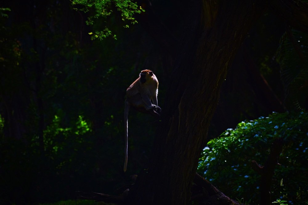 Photograph by Shiva Killamsetty