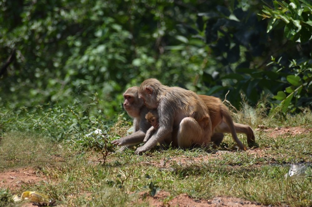 Photograph by Shiva Killamsetty