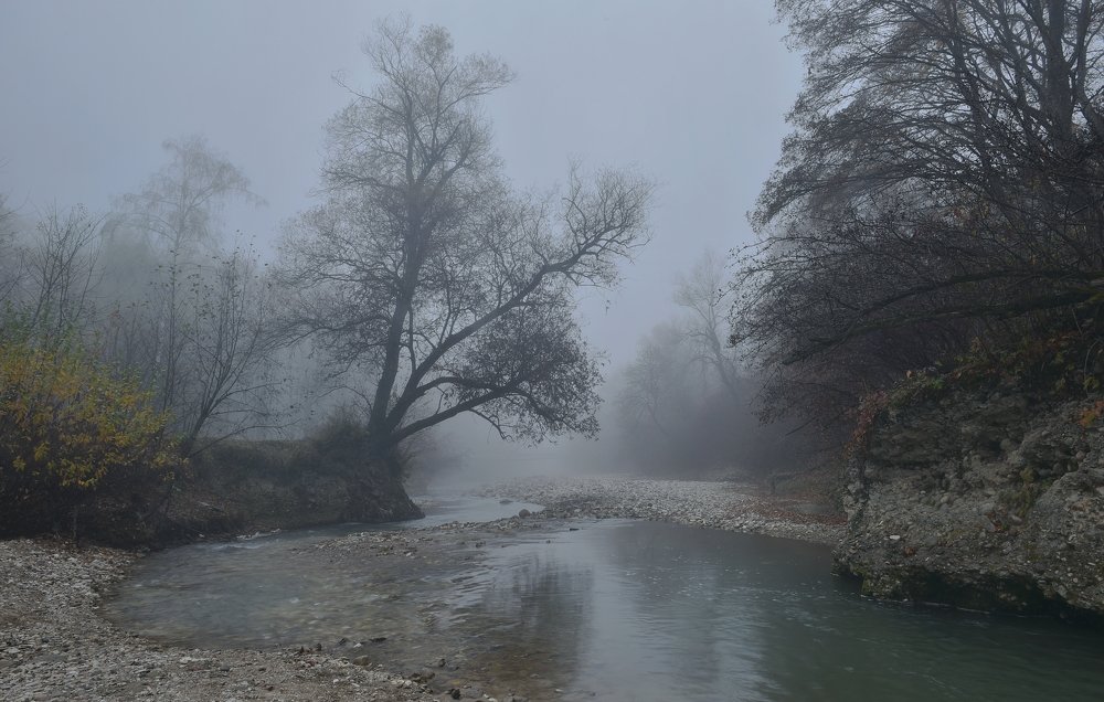 Осеннее утро