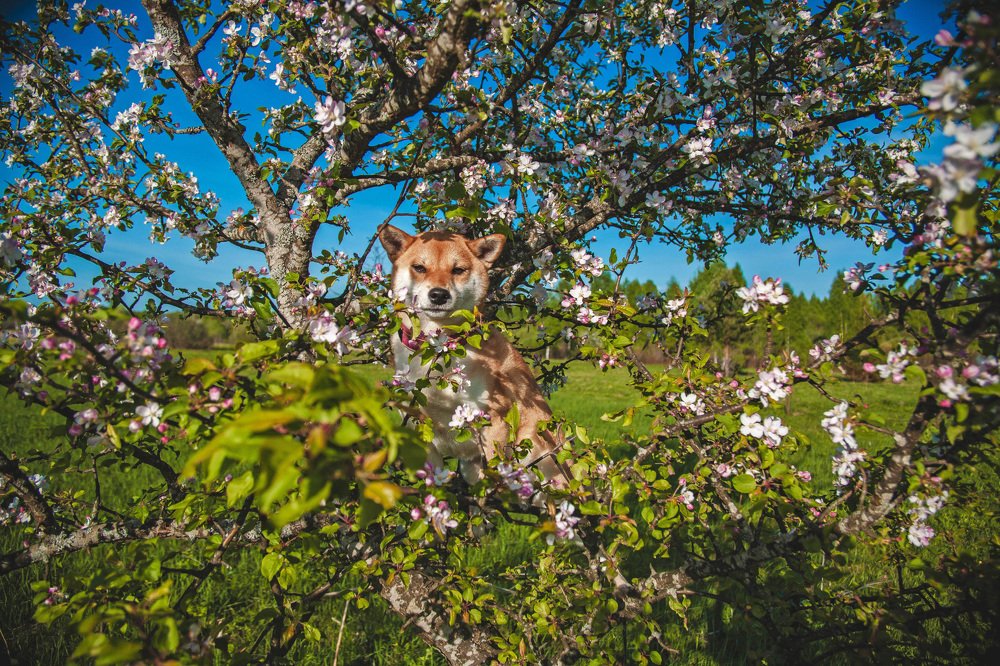 Photograph by Ольга Мурзина