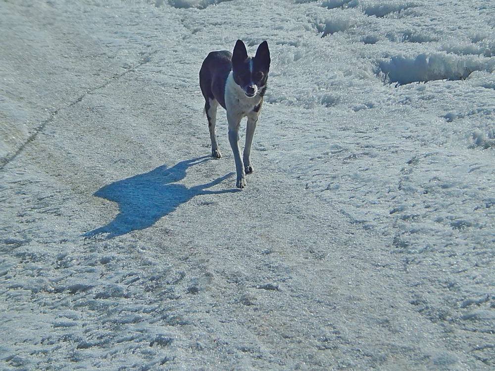 Photograph by Татьяна