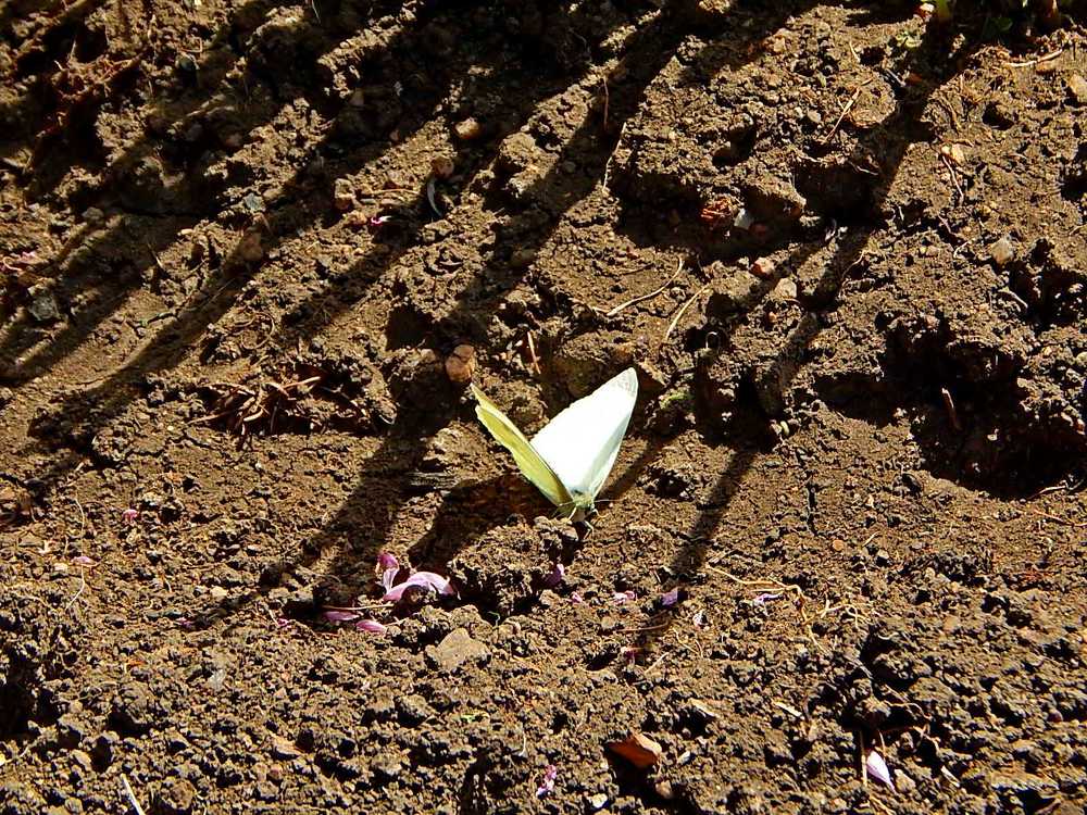 Photograph by Татьяна