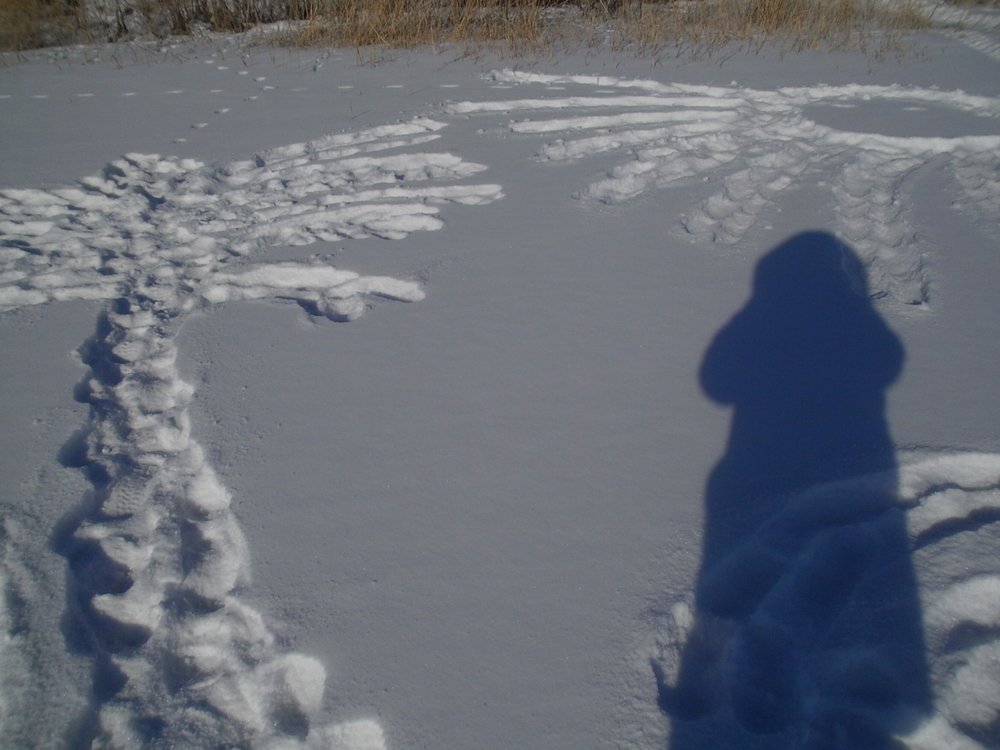 Photograph by Татьяна