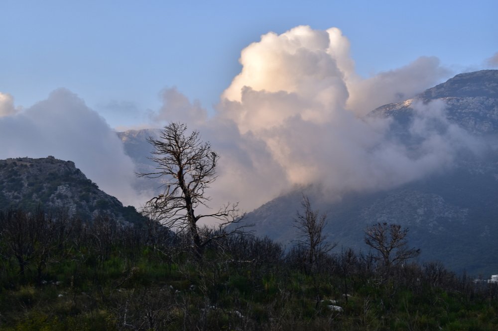 Photograph by Сергей Садчиков