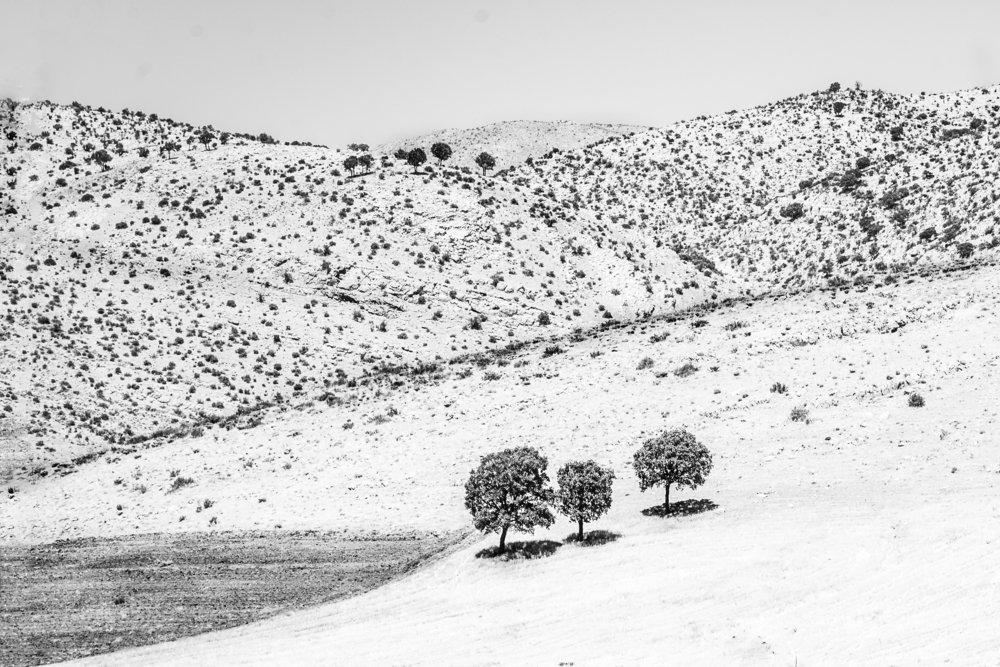 Photograph by Simin Mohit