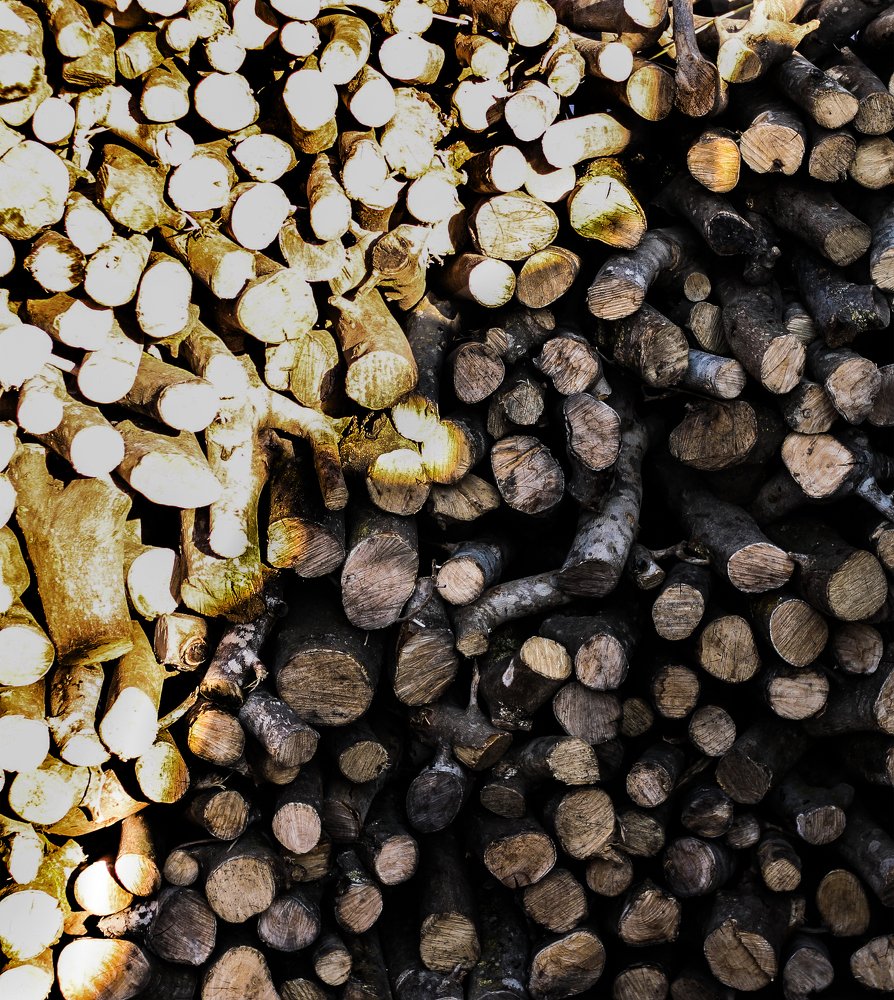Firewood. Light & shadow