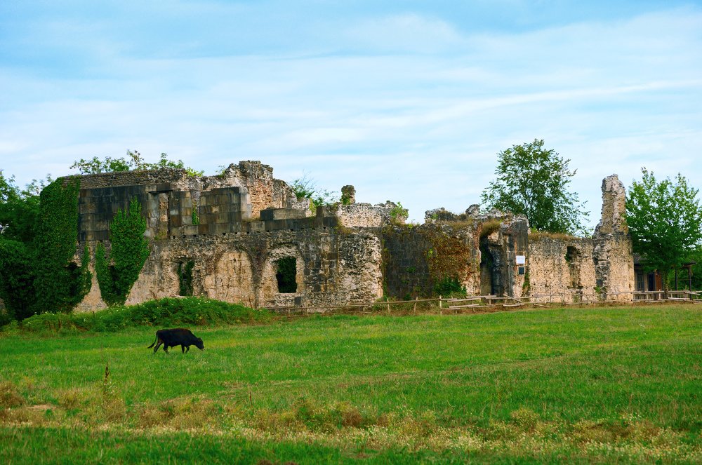 Photograph by Георгий Товмач