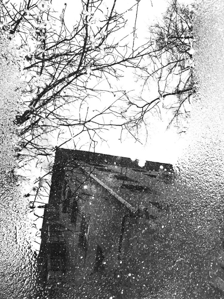 Фотография автора Климентий