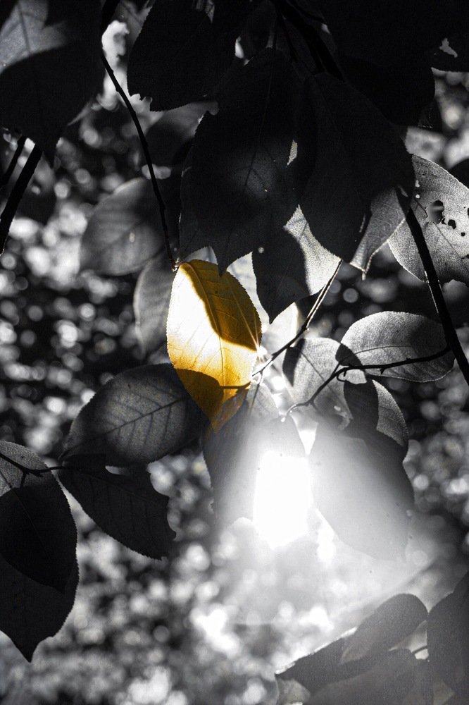 Фотография автора Климентий