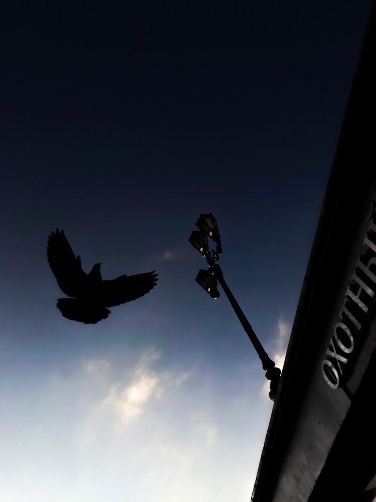 Фотография автора Климентий