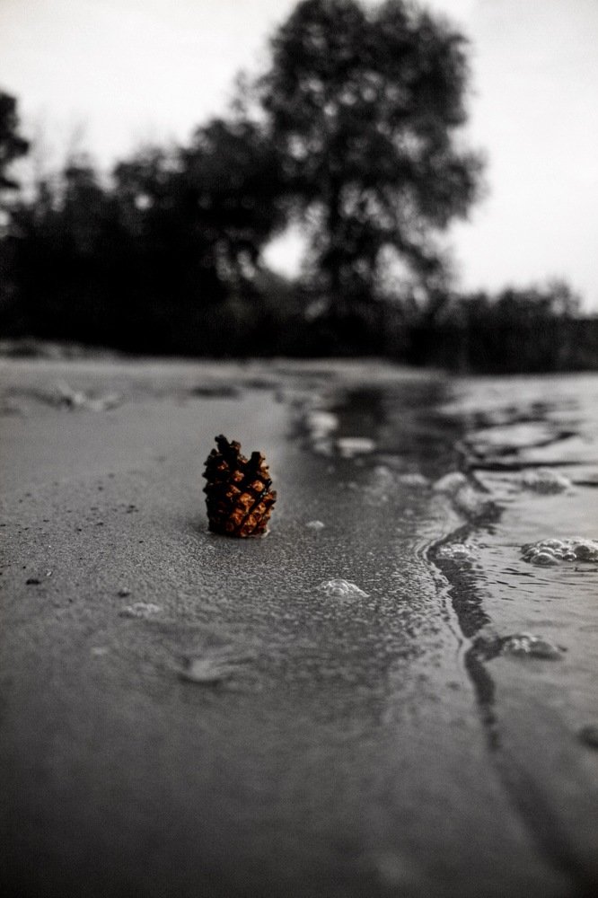 Фотография автора Климентий