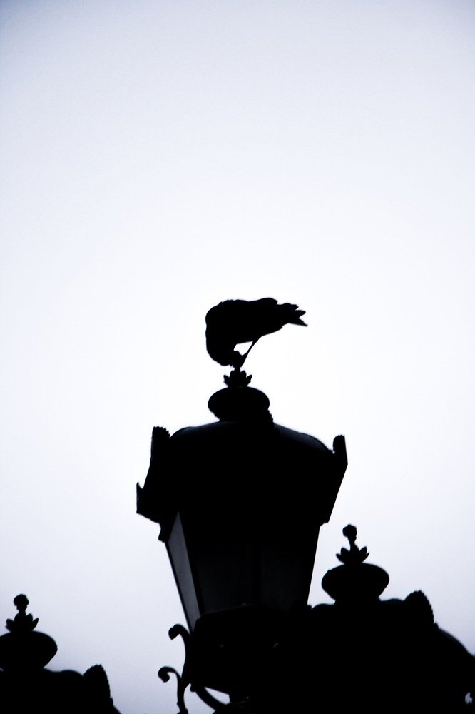 Фотография автора Климентий